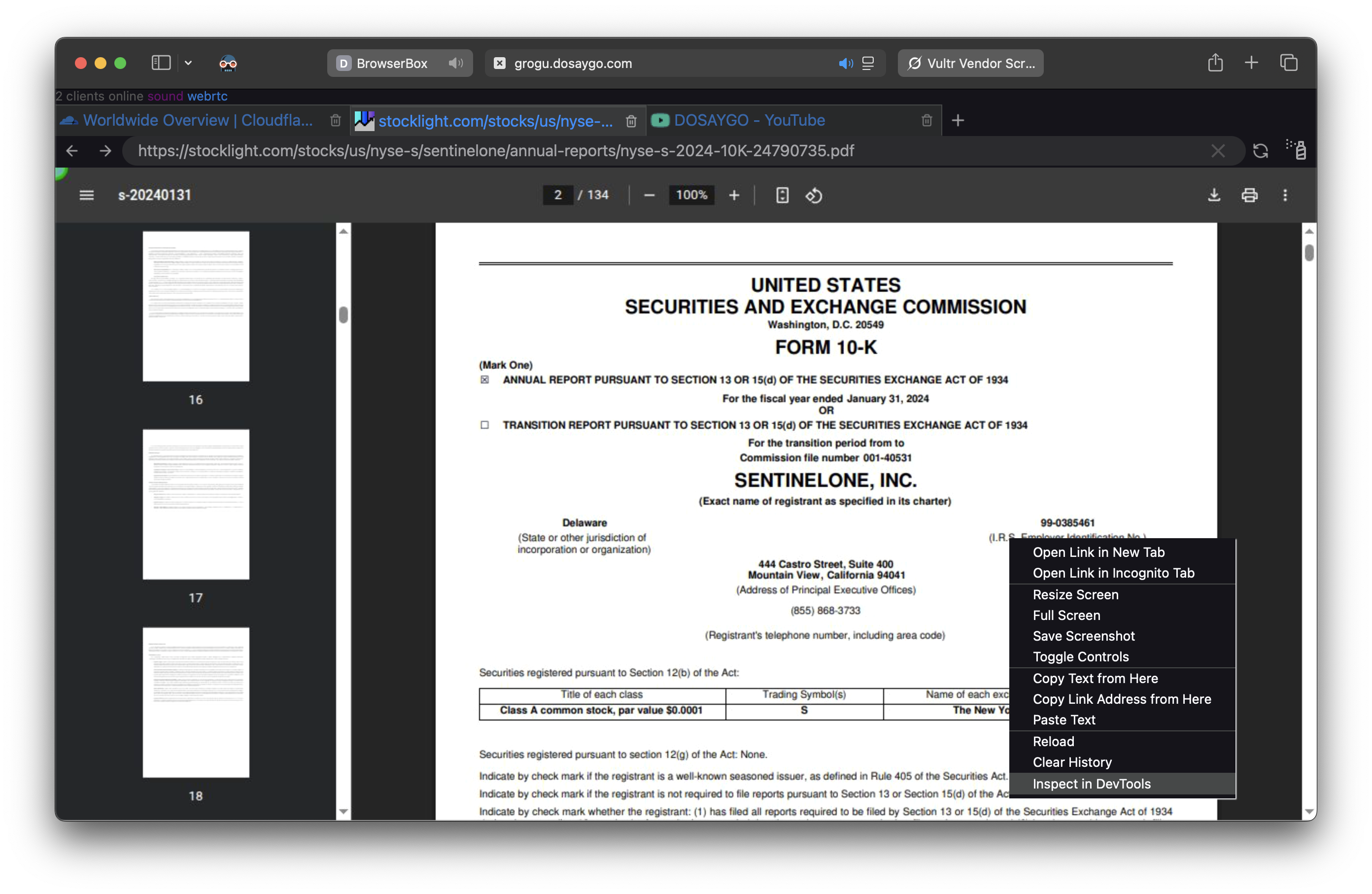BrowserBox displays PDFs like a normal browser.